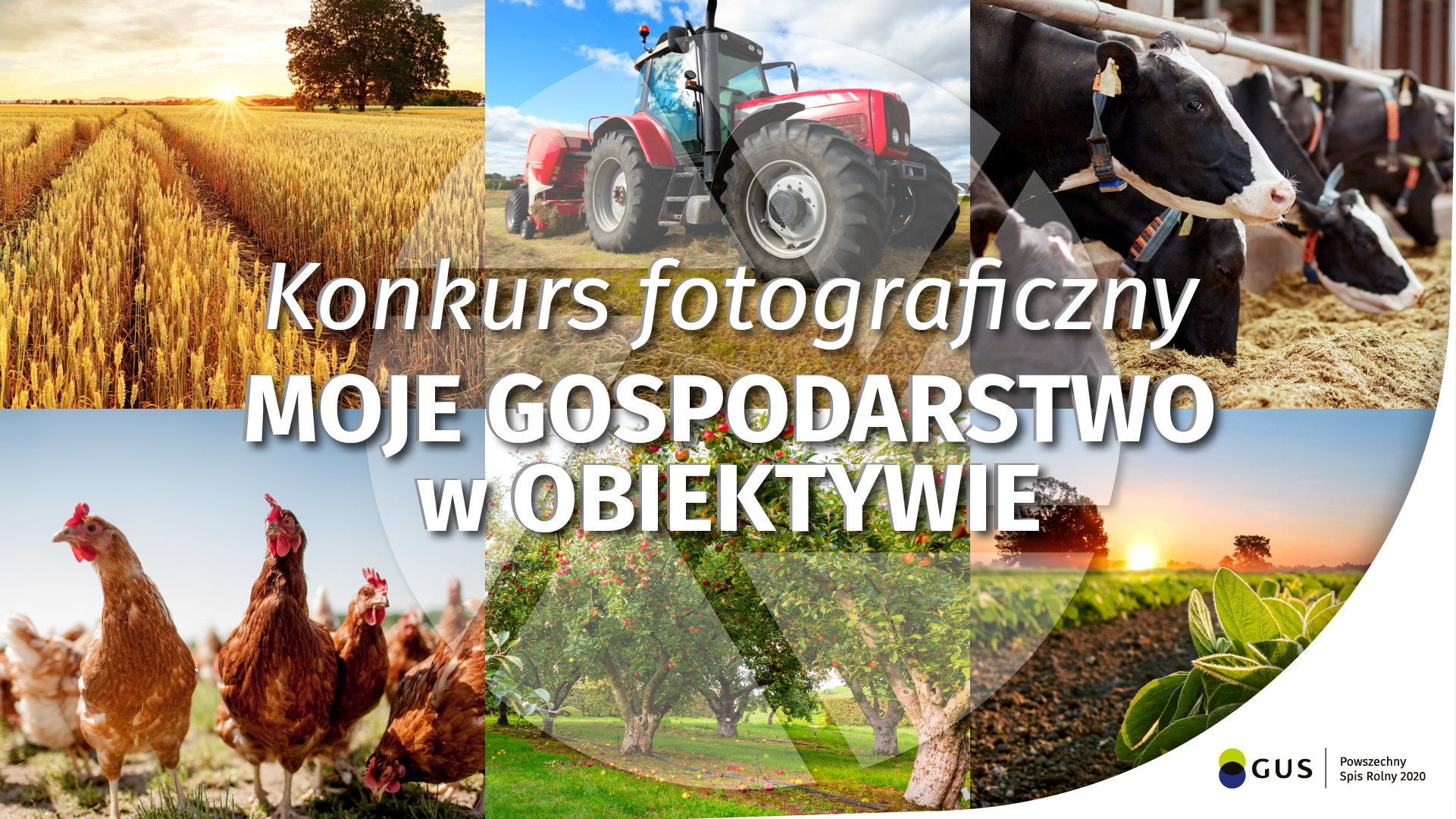 Kolaż zdjeć przedstawiających polską wieś: łany zbóż, zwierzęta, maszyny rolnicze.