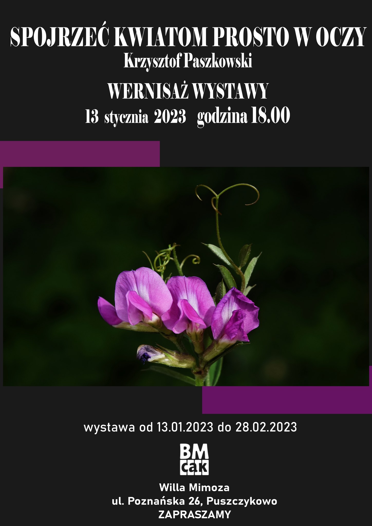 Zapraszamy na wernisaż wystawy Krzysztofa Paszkowskiego pn. "Spojrzeć kwiatom prosto w oczy".