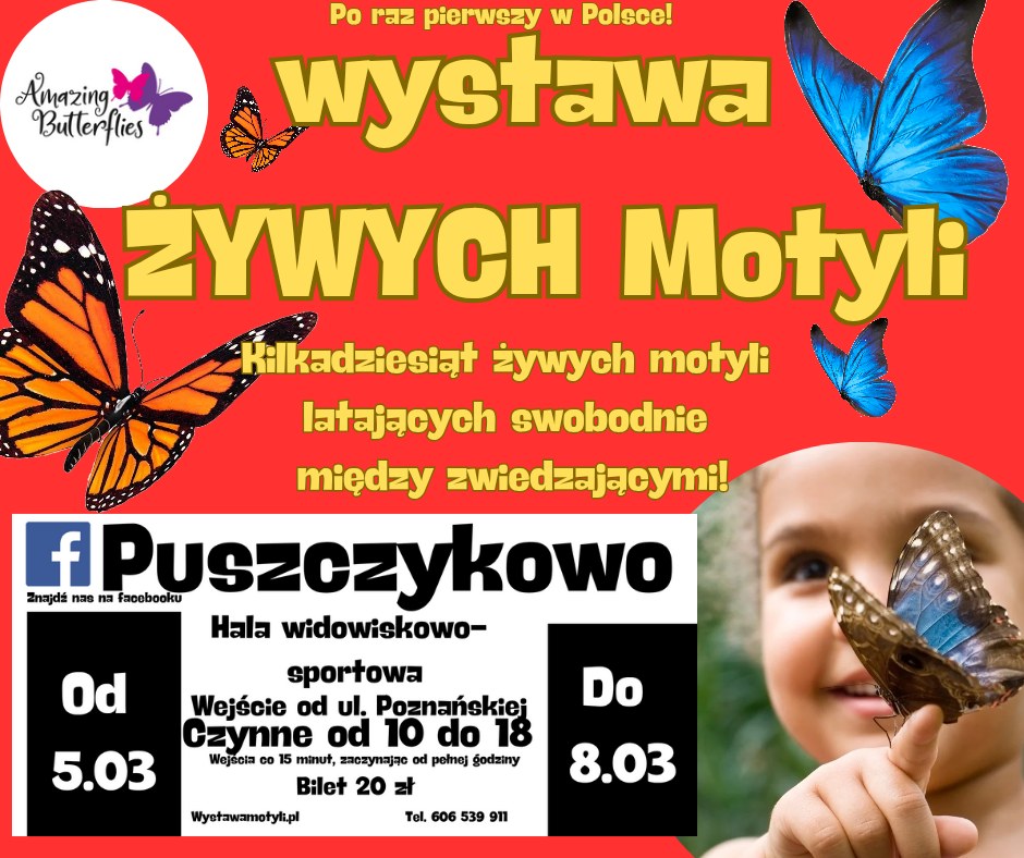 wystawa żywych motyli