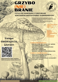 PLAKAT_GRZYBY.jpg