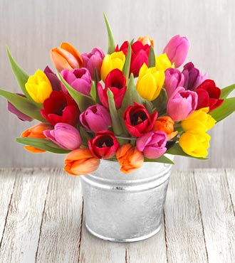 tulipany5.jpg
